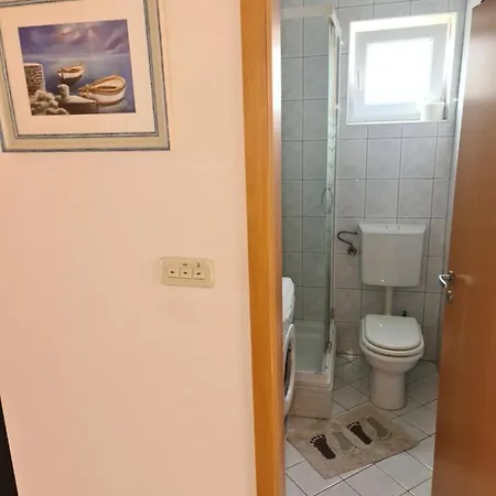 Apartment Branka *